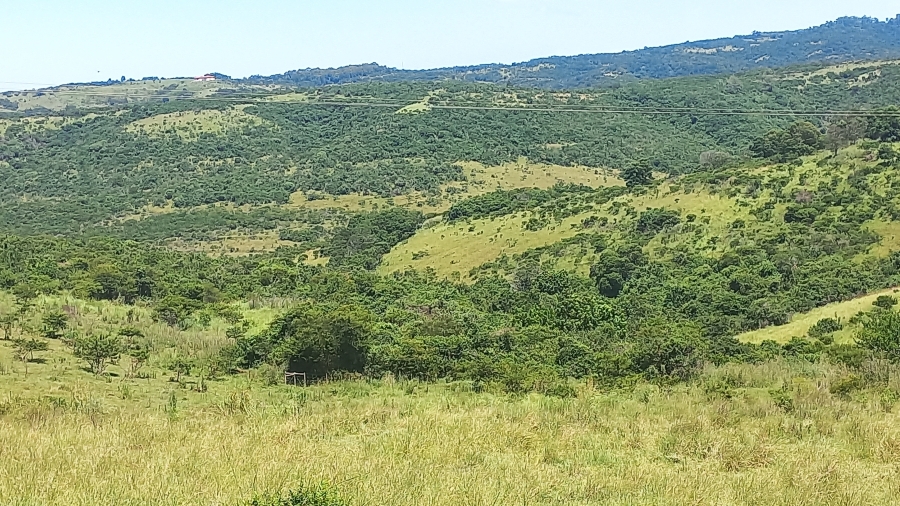 Commercial Property for Sale in East London Rural Eastern Cape